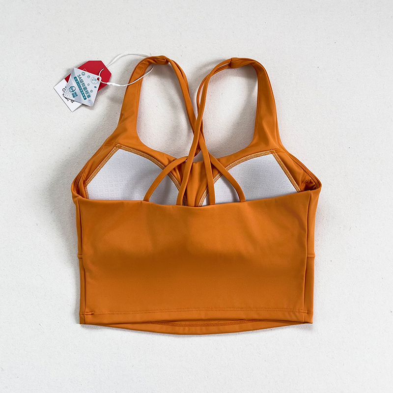 Yoga Fitness Training - A Yoga Fitness Bra, A Professional